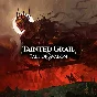 Tainted Grail: The Fall of Avalon (Steam Gift Россия)