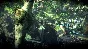 ⭐ Anomaly 2 EU Steam Key 🔑 EUROPE