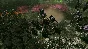 Warhammer 40,000: Gladius - Specialist Pack DLC STEAM