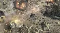 Company of Heroes 2+Ardennes Assault+The British Forces