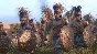 Total War: Pharaoh + Dynasties Steam Key RU+CIS +Bonus
