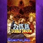 DoubleDragon Advance XBOX