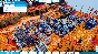 ⭐️ALL COUNTRIES⭐️ Automate It STEAM GIFT