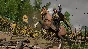 Total War: Three Kingdoms Mandate of Heaven Steam DLC