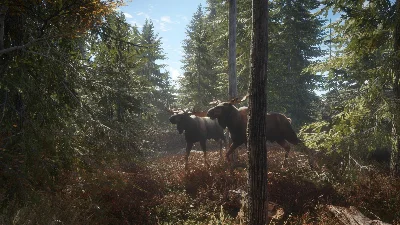theHunter: Call of the Wild + 9 DLC Steam Ключ РФ+Мир