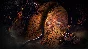 Elden Ring Nightreign Deluxe+ALL DLC Account📝steam