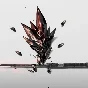 Arknights Originium  Donat Fast Delivery!