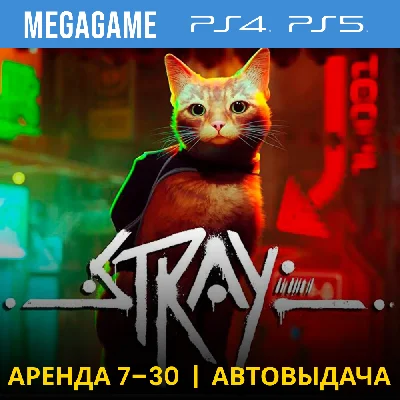 Stray (PS4/PS5/ENG/RUS) Rent 7 days