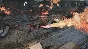 Chains of Freedom✅STEAM GIFT AUTO✅RU/UKR/KZ/CIS