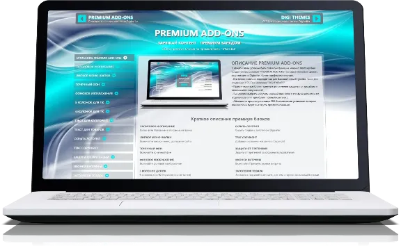 PREMIUM ADD-ONS for Digiseller store