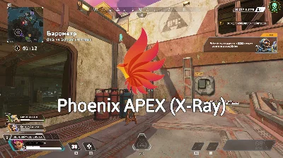Phoenix APEX (X-Ray)