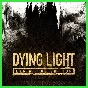 ✅Dying Light: Definitive Edition 🌍 STEAM•RU|KZ|UA 🚀