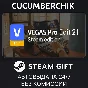 VEGAS Pro Edit 21 Steam Edition✅STEAM GIFT AUTO✅RU/OT