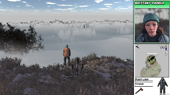 Survivalist: Invisible Strain 💎 АВТОДОСТАВКА STEAM РФ