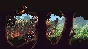 🚀 Chained Echoes 🤖 Steam Gift RU + other ⚡ AUTO