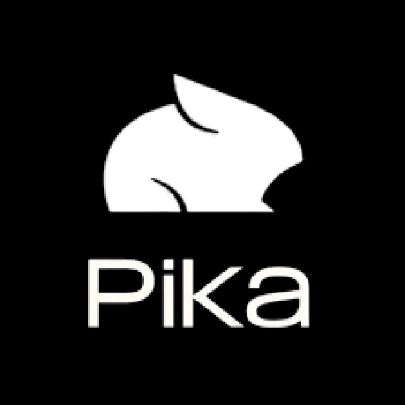 Pika.art Ai | Standard, Pro, Fancy | To your account