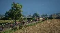 ✅ Pro Cycling Manager 2025 PC Steam Account +MAIL🟢