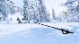 ⭐ Hunting Simulator EU PC Steam Key 🔑 EUROPE