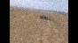 FPV Kamikaze Drone 💎 АВТОДОСТАВКА STEAM РОССИЯ