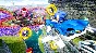 ⭐️ALL COUNTRIES⭐️ Sonic Racing CrossWorlds STEAM GIFT