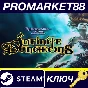 ⭐ Neverwinter Nights: Enhanced Edition - Infinite Dunge