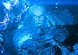 FINAL FANTASY XVI COMPLETE | Xbox Series X|S Key/Code