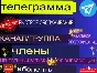 Telegram / Участники / Просмотры / Голоса