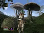 The Elder Scrolls III: Morrowind XBOX⭐Any account #