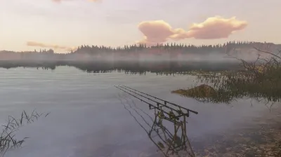 theFisher Online✅STEAM GIFT AUTO✅RU+МИР