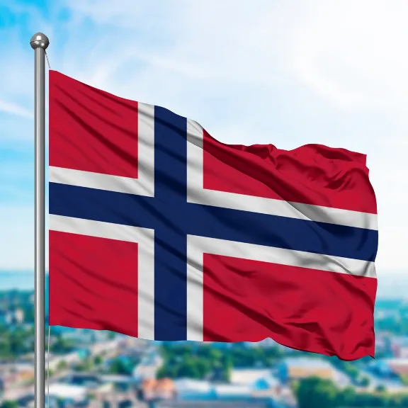 🥇Элитный прокси HTTP / SOCKS5 Норвегия - 30/90 дней🔐