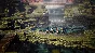 OCTOPATH TRAVELER + OCTOPATH TRAVELER II BUNDLE XBOX +