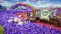🟢🔥SONIC RACING: CROSSWORLDS XBOX ONE/X|S KEY