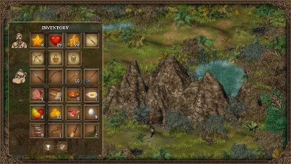Hero of the Kingdom: The Lost Tales 3 Steam key/Global