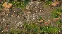 Hero of the Kingdom: The Lost Tales 3 Steam key/Global