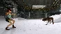 ⭐ Tomb Raider I-III Remastered Starring Lara Croft EU P