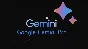 Google AI Gemini Pro| 15 months| PRIVATE AC| WARRANTY