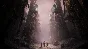 🟢🔥DRAGON AGE: THE VEILGUARD DELUXE🌍XBOX X|S KEY