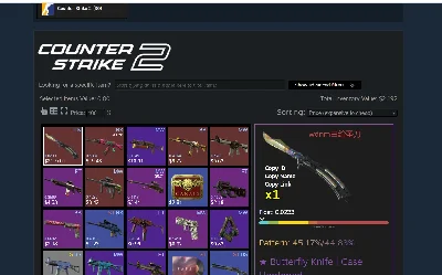 ✅CS2 + SKINS⭐ BUTTERFLY KNIFE INVENTORY 2100$ ⭐ FACEIT