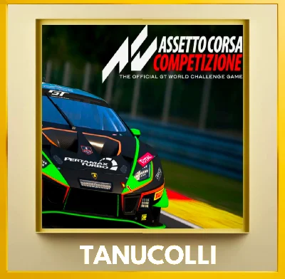 ☀️ Assetto Corsa Competizion (PS4/RU) П1 Оффлайн
