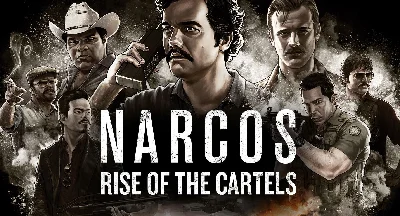 Narcos: Rise of the Cartels + Mail | Change Data