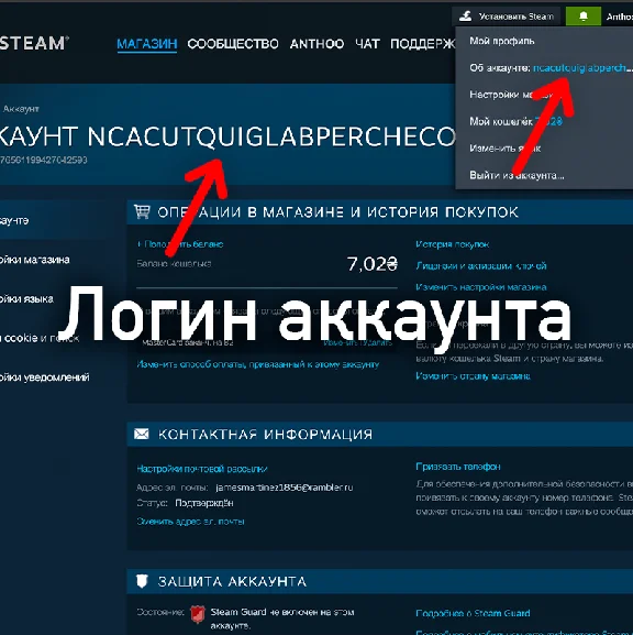 🟦⭐Пополнение баланса Steam • АВТО 24/7⚡ГРИВНЫ (UAH) ☑️