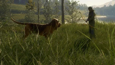 theHunter Call of the Wild Bloodhound Steam Key ROW DLC