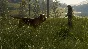 theHunter Call of the Wild Bloodhound Steam Key ROW DLC