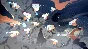 NARUTO X BORUTO ULTIMATE NINJA STORM CONNECTIONS ULTIMA