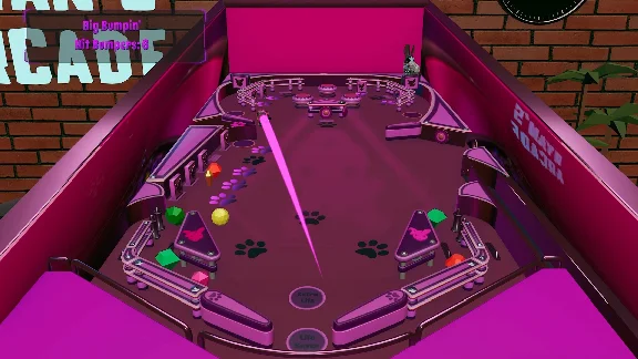 ROXY RACCOON´S PINBALL PANIC XBOX KEY/CODE