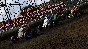 WORLD OF OUTLAWS: DIRT RACING 24 GOLD EDITION XBOX KEY/