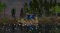 Kingdom Two Crowns Steam Ключ РФ+Мир +Бонус