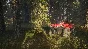 theHunter: Call of the Wild ATV SABER 4X4 Steam Ключ