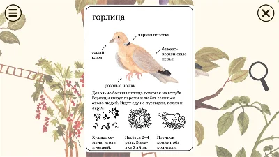 Little Mouse´s Encyclopedia XBOX [ Code 🔑 Key ]