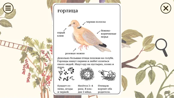 Little Mouse´s Encyclopedia XBOX [ Code 🔑 Key ]